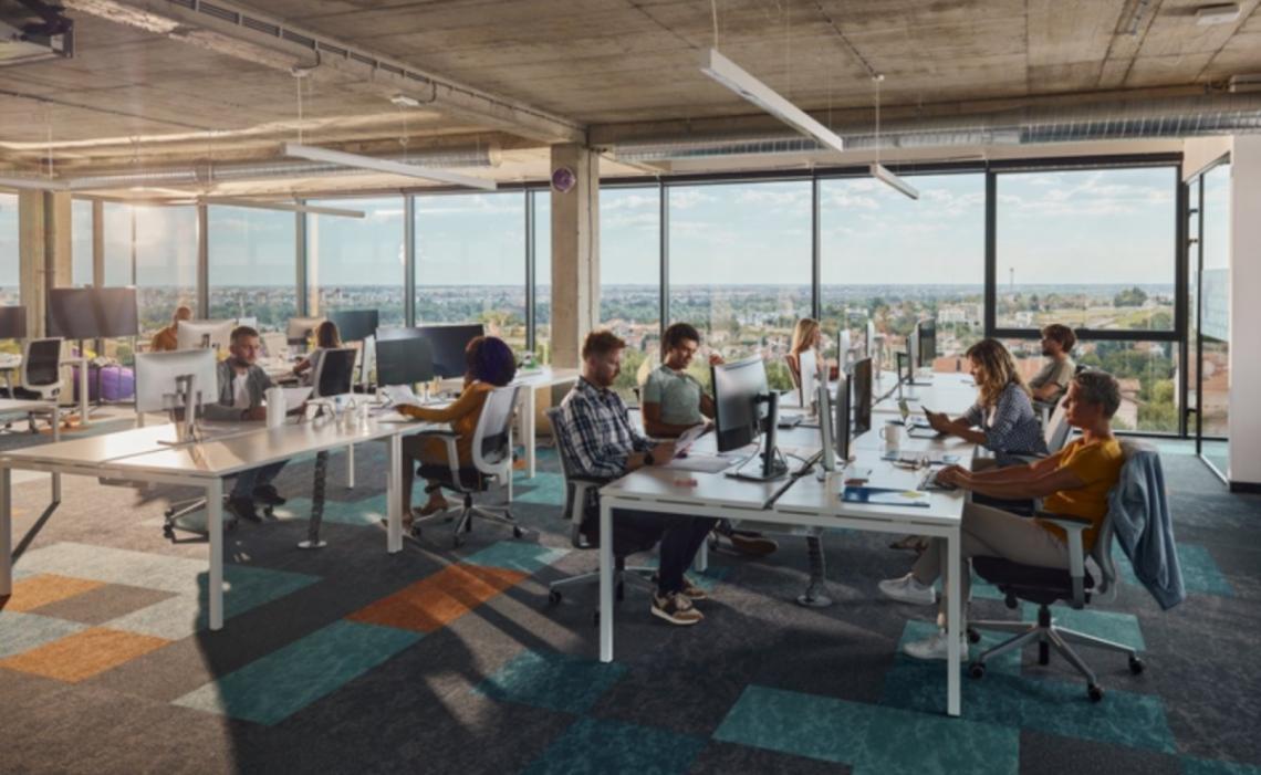 SEO strategy session for online store owners